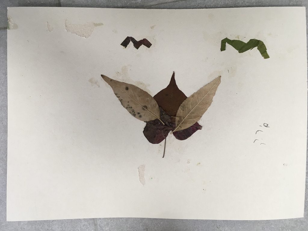 קולאז׳ : שישי הורים כרמים תשפ״ב by Zehavit Stern - Illustrated by המשתתפים - Ourboox.com