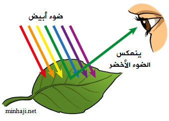 كتاب الضوء by dareen - Ourboox.com