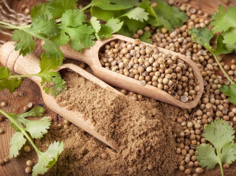 ЦАРИЦЯ КОРИЦЯ, ПАН ШАФРАН ТА ІНШІ by Larisa Yatsiuk - Illustrated by Лариса ЯЦЮК - Ourboox.com