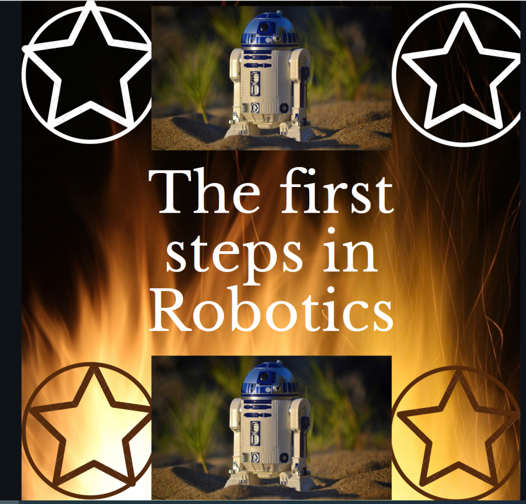 THE FIRST STEPS IN ROBOTICS by Susana Díaz - Illustrated by Susana Díaz - Ourboox.com