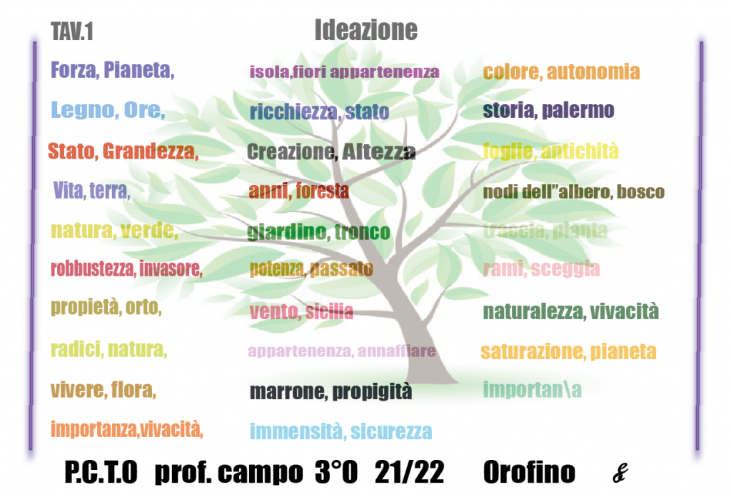 alberi monumentali di sicilia by emanuele - Ourboox.com