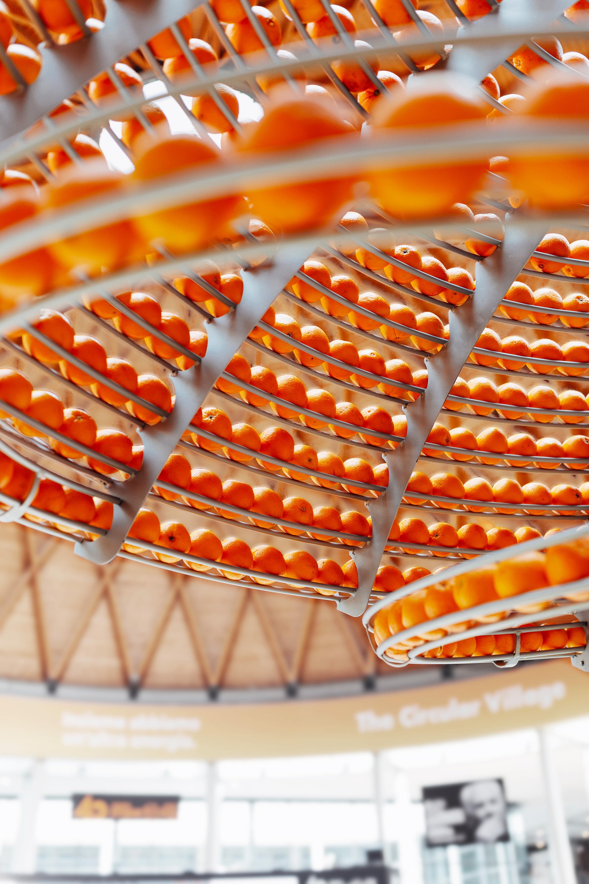 Bu Portakal Suyu Otomatı Kabukları Bardağa Dönüştürüyor by imge yılmaz uyar - Ourboox.com