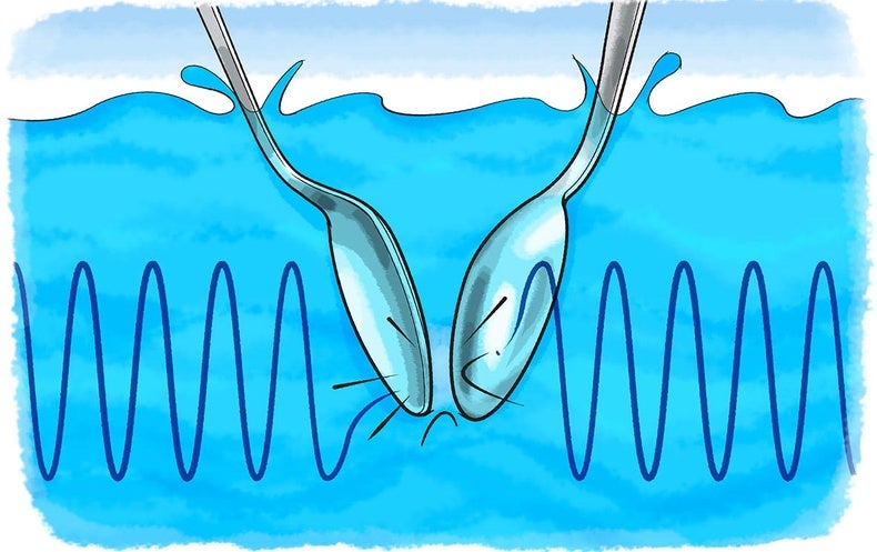 الصوت by saifabushqra - Ourboox.com