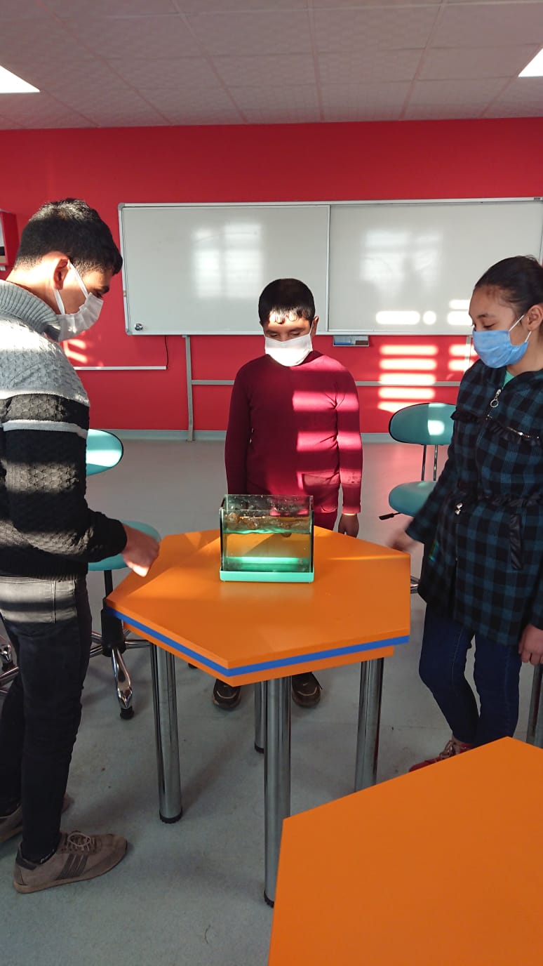 Abdullah KOCAĞ by proje ekibi - Ourboox.com