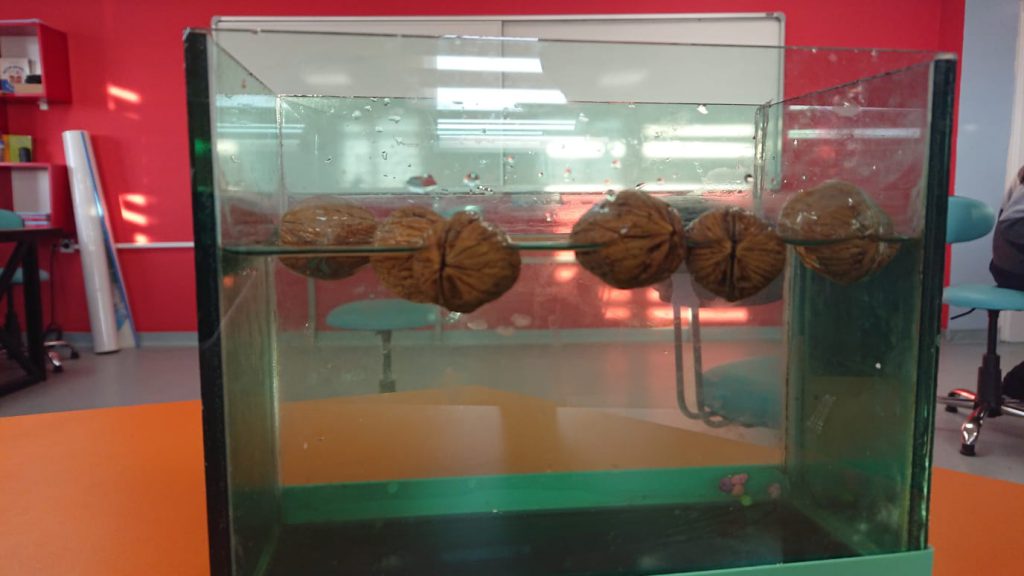 Abdullah KOCAĞ by proje ekibi - Ourboox.com