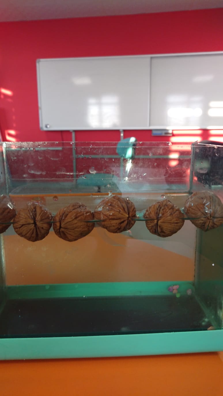 Abdullah KOCAĞ by proje ekibi - Ourboox.com