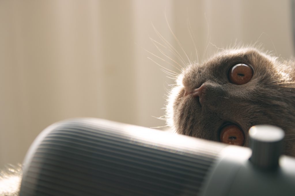 Semenovavabook by Valeria Semyonova - Ourboox.com