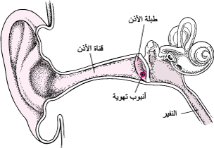 الحواس by Abdullah fattah - Ourboox.com