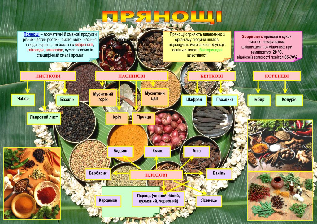 ЦАРИЦЯ КОРИЦЯ, ПАН ШАФРАН ТА ІНШІ by Larisa Yatsiuk - Illustrated by Лариса ЯЦЮК - Ourboox.com