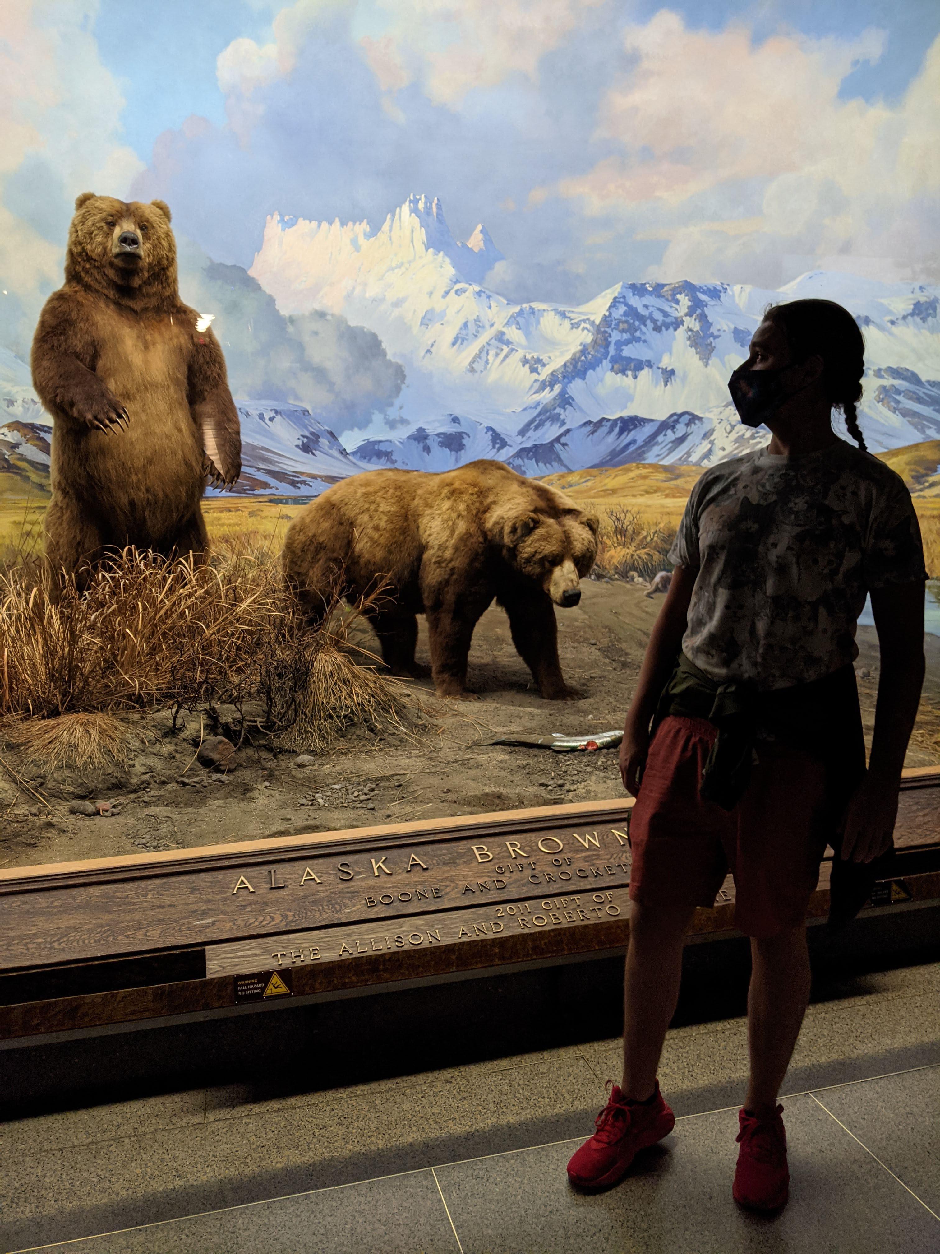 Our East Coast Adventure by jeremy broad - Ourboox.com