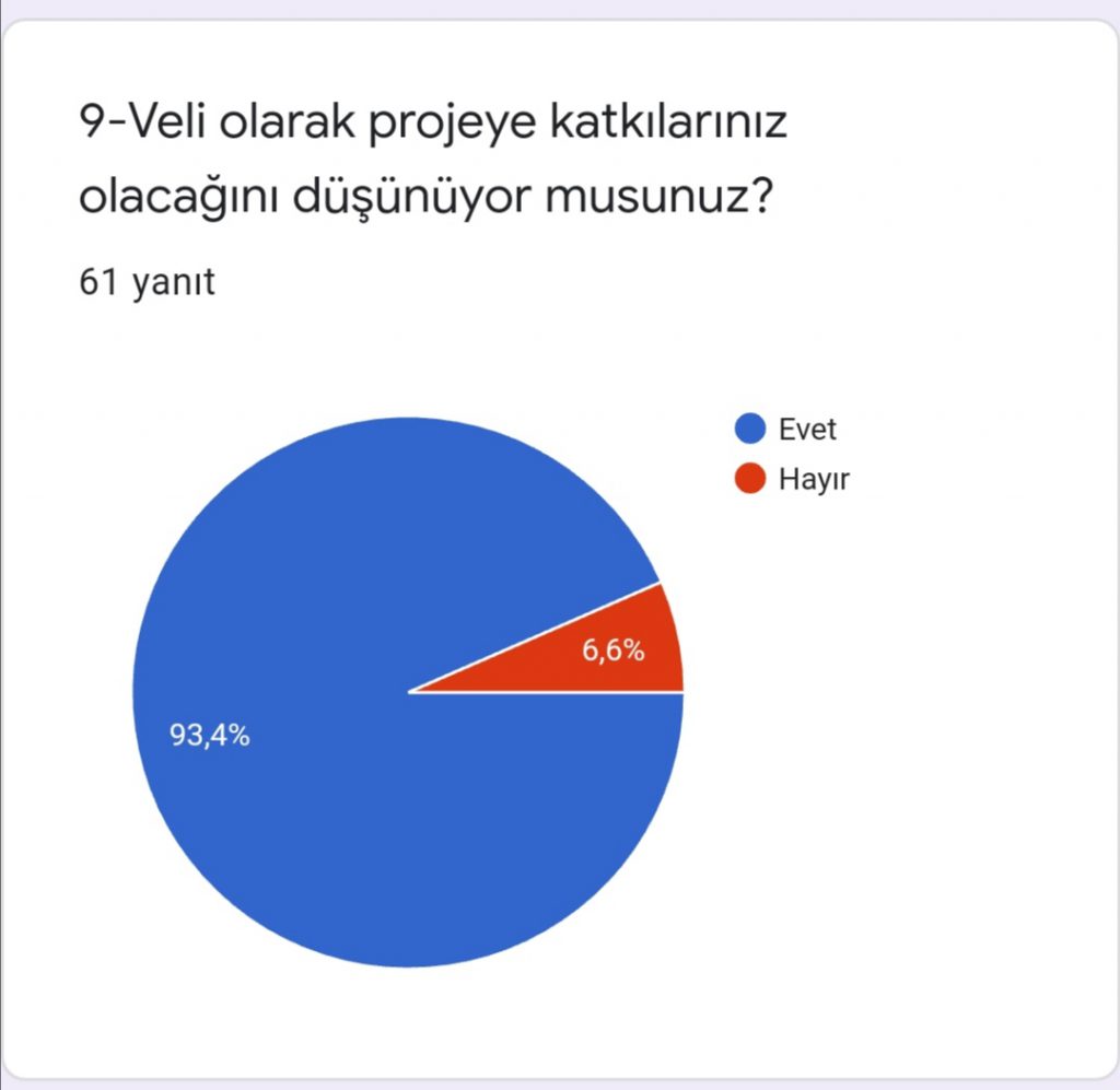 ALGORİTMA’TEMATİK PROJESİ VELİ ÖN ANKETİ DEĞERLENDİRME by Leyla Karatosun - Ourboox.com