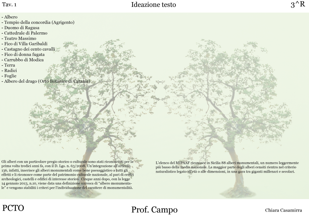 Progetto logo Alberi monumentali di Sicilia by Chiara Casamirra - Ourboox.com