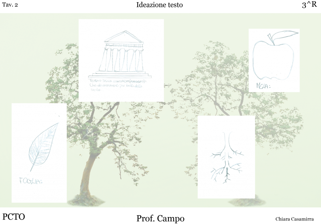 Progetto logo Alberi monumentali di Sicilia by Chiara Casamirra - Ourboox.com