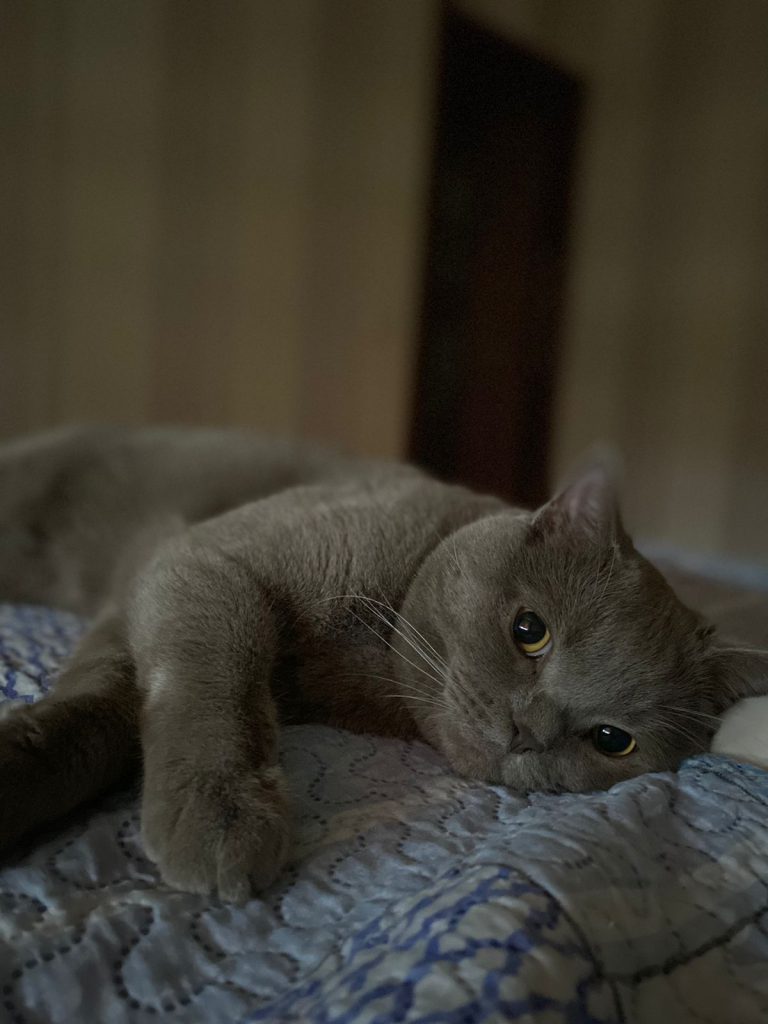 Fırfır by Büşra Korkmaz - Ourboox.com