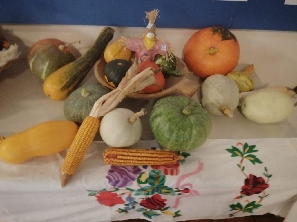 KAK JE NEGDA BILO by JASMINKA PODLEJAN - Ourboox.com