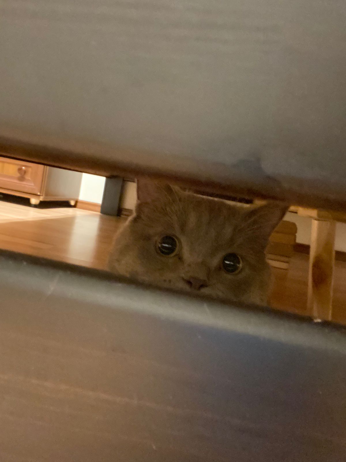 Fırfır by Büşra Korkmaz - Ourboox.com