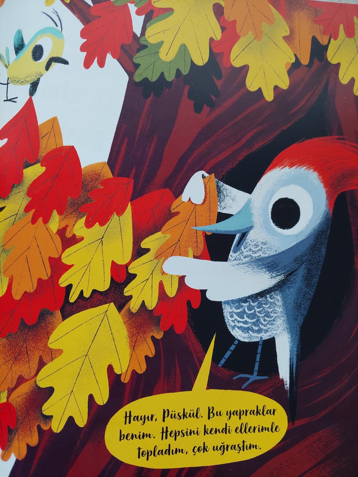 YAPRAKLARIMI KİM ALDI? by EDA VURAL - Illustrated by Eda VURAL - Ourboox.com