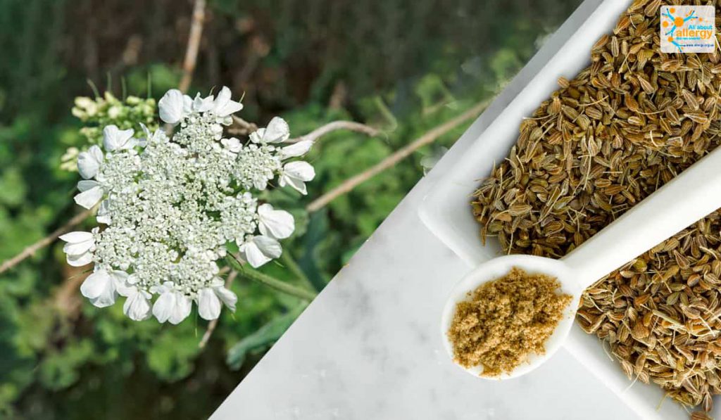 ЦАРИЦЯ КОРИЦЯ, ПАН ШАФРАН ТА ІНШІ by Larisa Yatsiuk - Illustrated by Лариса ЯЦЮК - Ourboox.com