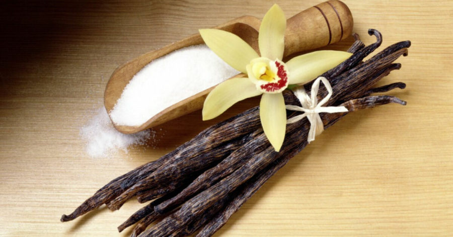 ЦАРИЦЯ КОРИЦЯ, ПАН ШАФРАН ТА ІНШІ by Larisa Yatsiuk - Illustrated by Лариса ЯЦЮК - Ourboox.com