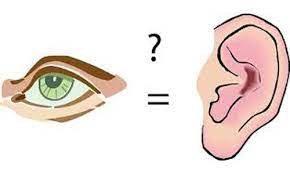 البصر والسمع by zaidhamamrah - Ourboox.com