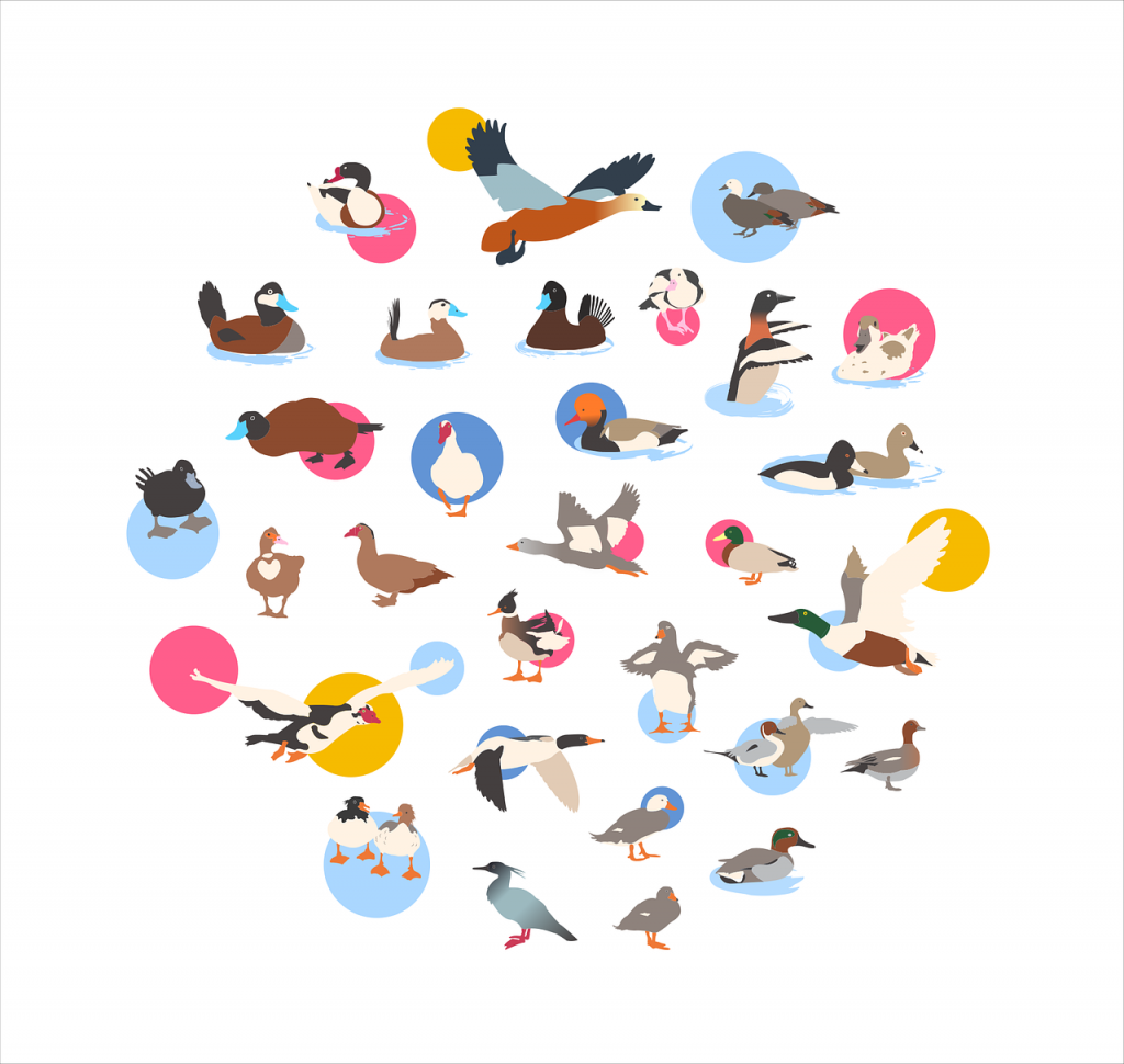 Le parole in Inglese by Terza A. - Illustrated by Andrea Tanfoglio - Ourboox.com