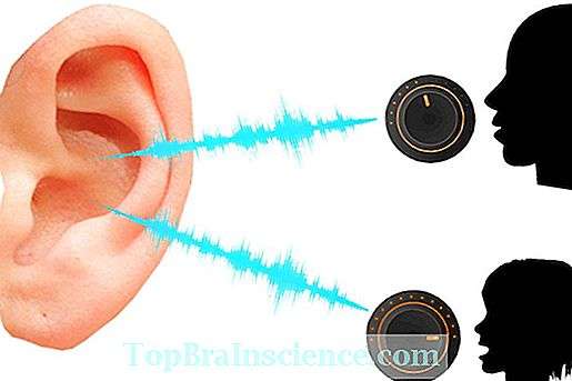 الصوت by saifabushqra - Ourboox.com