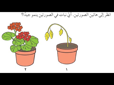 كتاب الضوء by dareen - Ourboox.com