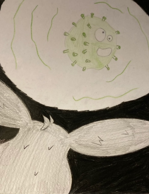 הכל התחיל בעטלף by shira axel - Illustrated by שירה אקסל - Ourboox.com