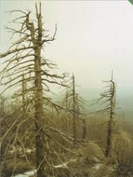 Дослідження рH атмосферних опадів та їхнього впливу на різні матеріали в довкіллі by Demyanchuk Sofia - Ourboox.com