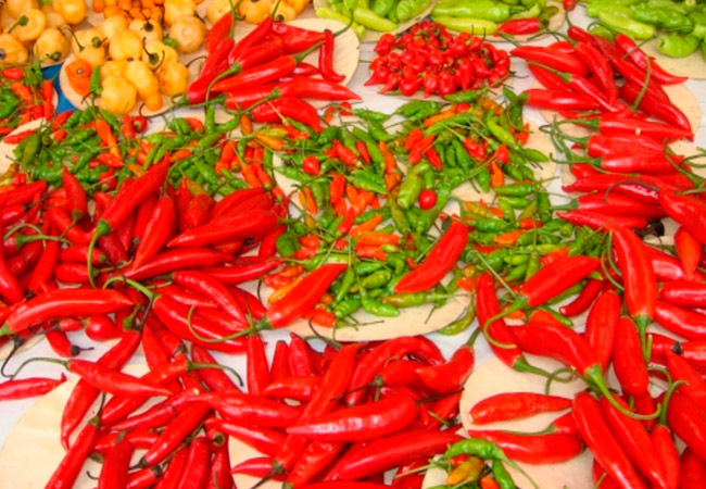 ЦАРИЦЯ КОРИЦЯ, ПАН ШАФРАН ТА ІНШІ by Larisa Yatsiuk - Illustrated by Лариса ЯЦЮК - Ourboox.com