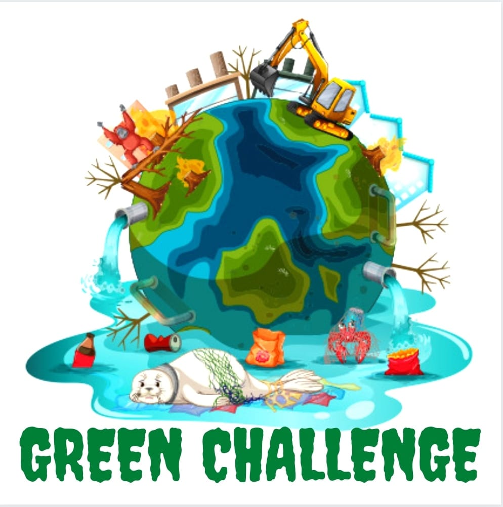 Green Challenge by Green Challenge - Illustrated by Green Ghallenge partners - Ourboox.com