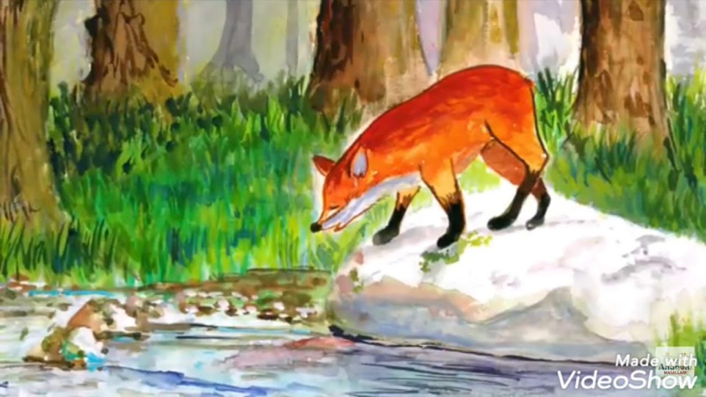 Kuyruksuz Tilki by Şevval Nisa Kılınç - Illustrated by Şevval Nisa Kılınç - Ourboox.com