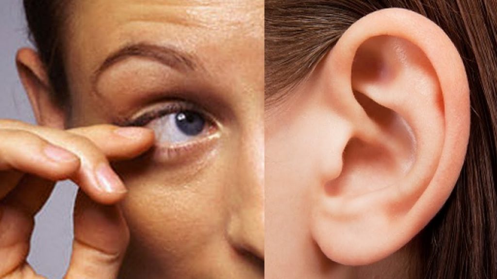 الحواس by Mustafa Barq - Ourboox.com