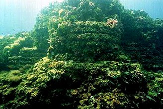 viaggio ricco di emozioni da provare solo in Italia by Marie Nitcheu Djeutcheu - Illustrated by Hiba Jouider, Greta Michieli, Marie Nitcheu Djeutcheu - Ourboox.com