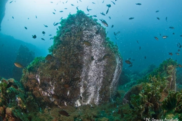 viaggio ricco di emozioni da provare solo in Italia by Marie Nitcheu Djeutcheu - Illustrated by Hiba Jouider, Greta Michieli, Marie Nitcheu Djeutcheu - Ourboox.com