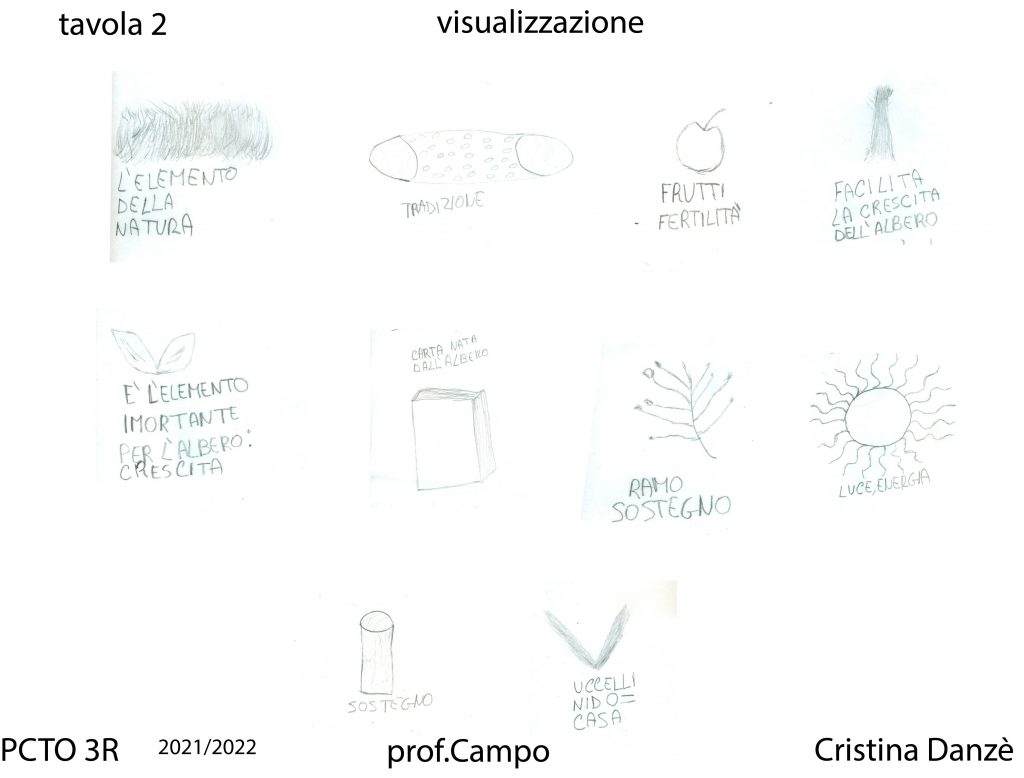 progetto grafico alberi monumentali in Sicilia by cristina danzè - Ourboox.com