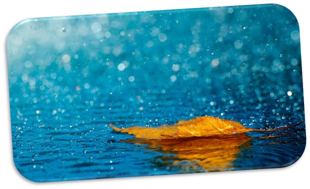 Дослідження pH атмосферних опадів та їхнього впливу на різні матеріали у довкіллі by elenka - Ourboox.com