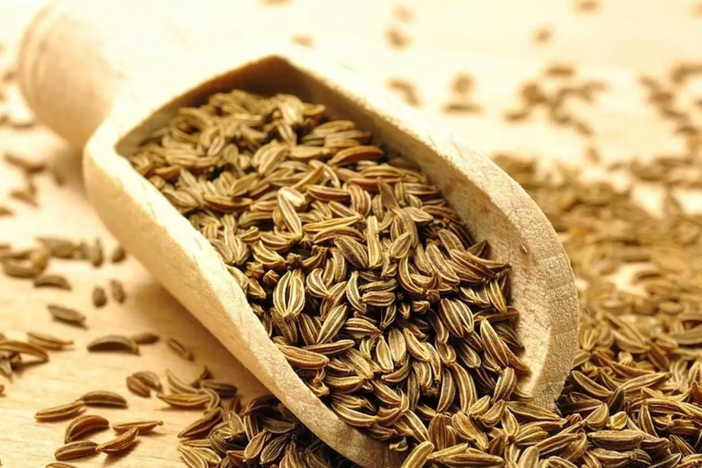 ЦАРИЦЯ КОРИЦЯ, ПАН ШАФРАН ТА ІНШІ by Larisa Yatsiuk - Illustrated by Лариса ЯЦЮК - Ourboox.com