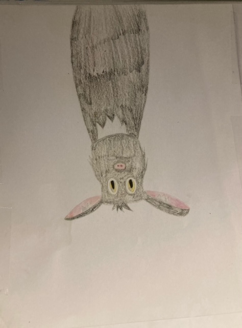 הכל התחיל בעטלף by shira axel - Illustrated by שירה אקסל - Ourboox.com