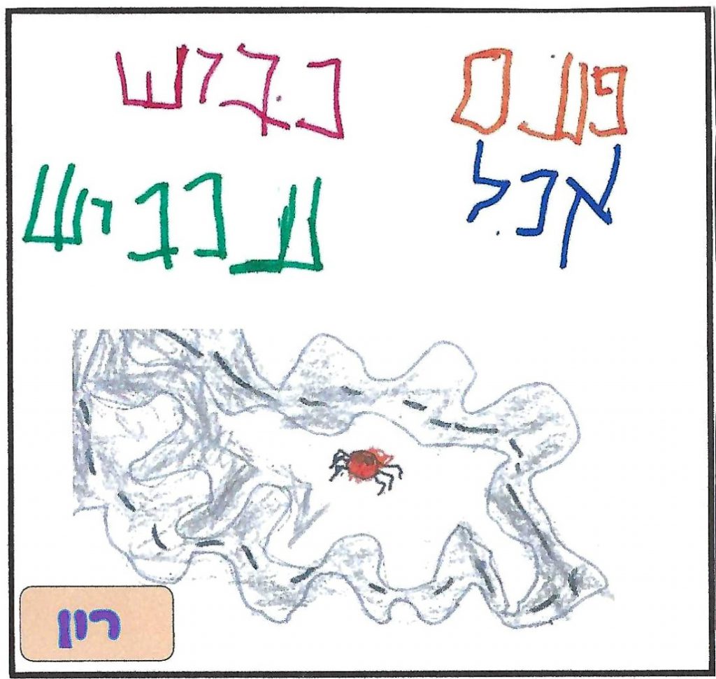 ספר השטוזים של גן יהב by shuli zinal - Illustrated by ילדי גן יהב - Ourboox.com