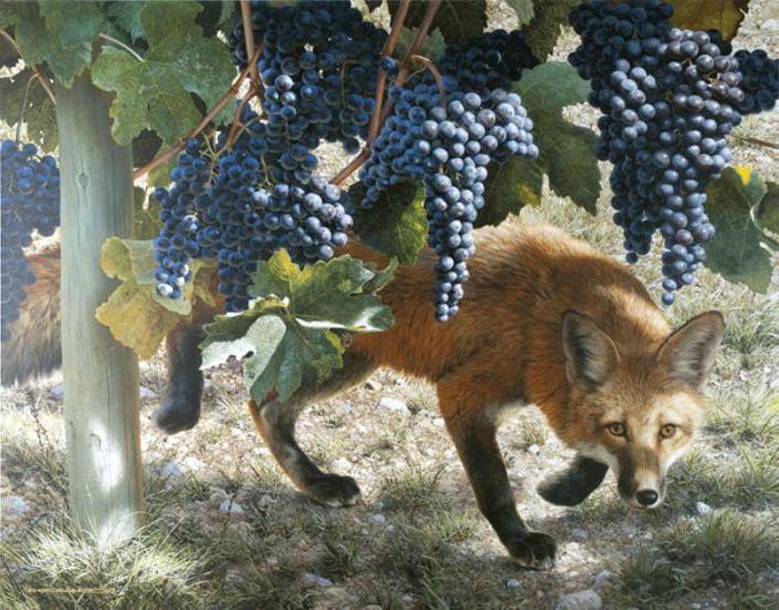 הַשּׁוּעָל וְהַכֶּרֶם by pninit - Ourboox.com