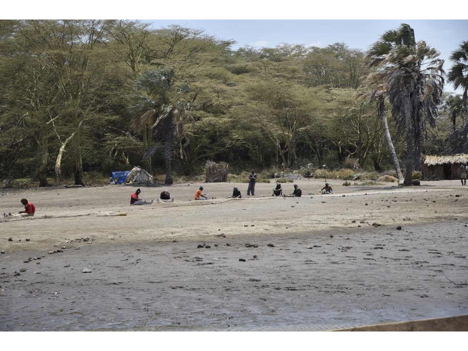 הטיול שלנו לטנזניה 2021 – חלק שני by מיכל בן הגיא - Illustrated by מיכל סלע ואבנר אייזיק - Ourboox.com