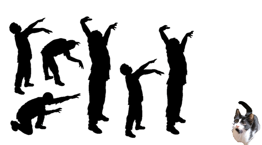 החתולה קרי by Bar Weiler - Ourboox.com