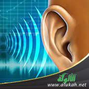 الصوت by Abdullah fattah - Ourboox.com