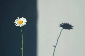 الضوء by zaidhamamrah - Ourboox.com