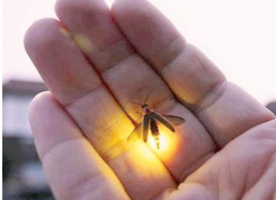 كتاب الضوء by dareen - Ourboox.com