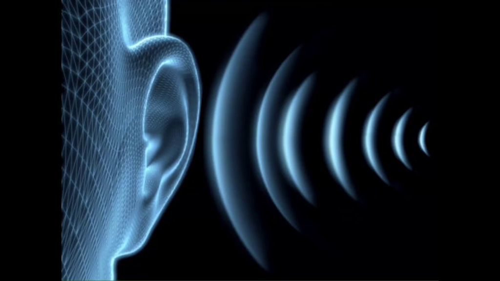 البصر والسمع by zaidhamamrah - Ourboox.com