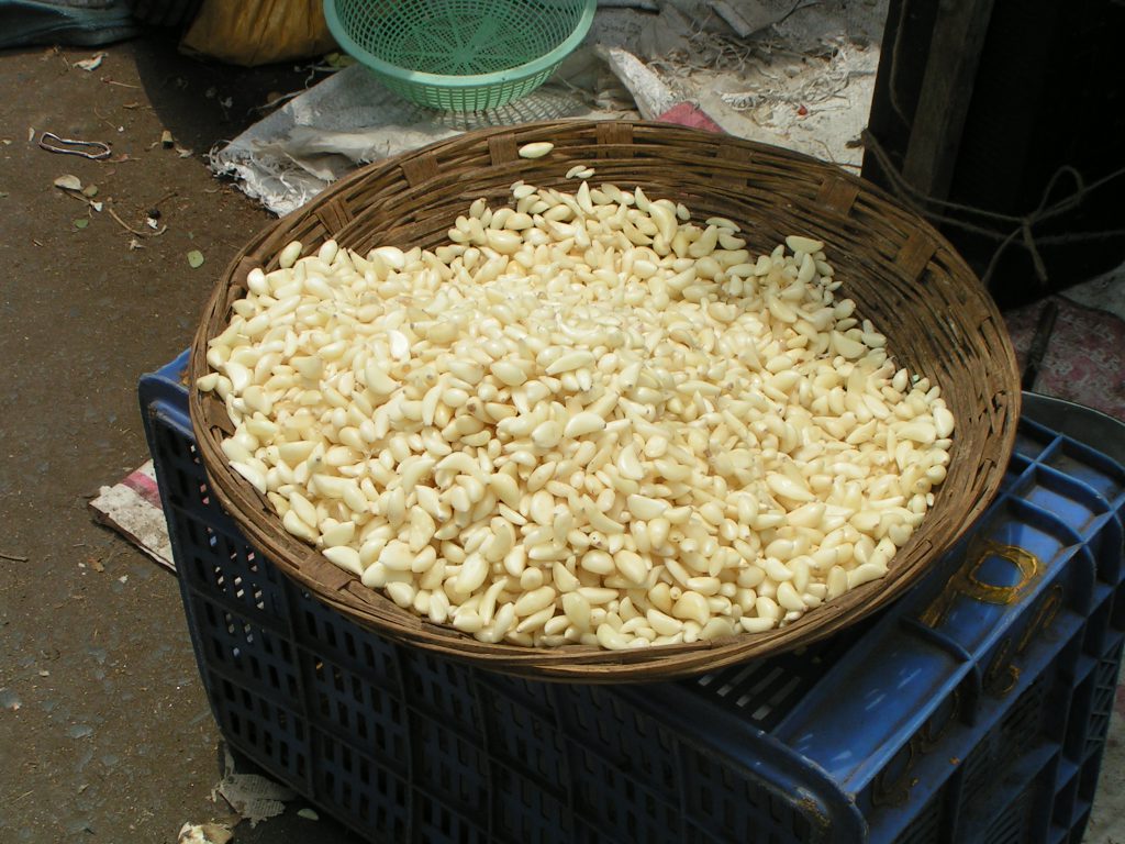 טיול שורשים להודו – חלק ראשון מומביי עד מייסור by מיכל בן הגיא - Illustrated by אבנר אייזיק - Ourboox.com