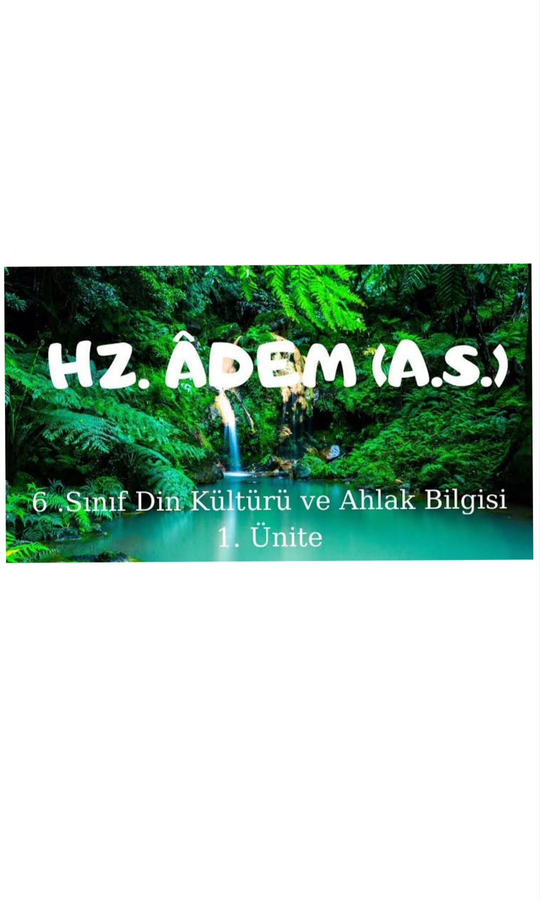 Ders kitabi by Yağmur aslan - Illustrated by Yağmur Aslan - Ourboox.com
