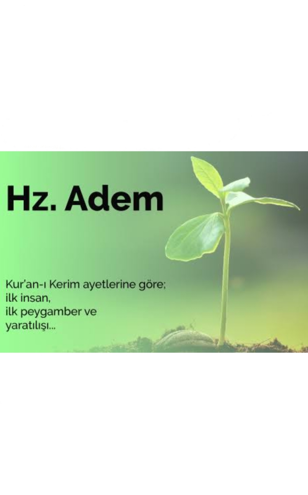 Ders kitabi by Yağmur aslan - Illustrated by Yağmur Aslan - Ourboox.com